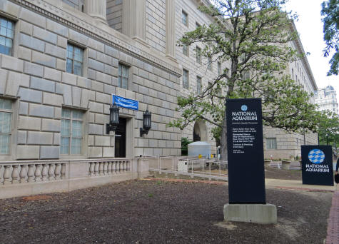 National Aquarium in Washington DC